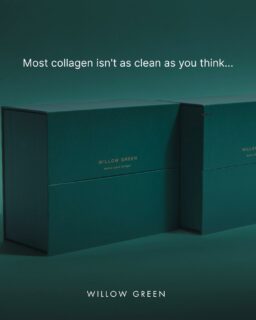 Most collagen isn't as clean as you think. 🌿Hidden sugar. Preservatives. Artificial flavorings. Stabilizers. The stuff you'd never knowingly drink — quietly sitting in your "beauty" supplement.Willow Green is different. 100% Clean Label liquid marine collagen: simple, natural ingredients and artificial. What's on the label is exactly what's in the sachet.No more dirty collagen. Just the glow.Save this the next time you read a collagen label. 💚
#thenaturalway #willowgreen #collagenbeauty #BeautyInsideOut #liquidcollagen  #jointhealth #naturalbeauty #skinhealth #skincareroutine #healthyskin #beautyfromwithin #youthfulskin #beautysupplements #skincareaddict #skincare #antiaging #RadiantSkin #collagendrink #HealthyLiving #glowingskin #HealthyHair #LiquidBeauty #naturalbeauty #antioxidants #cleanlabel #goals #selfcare #Cleanlabel